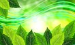 Spring green background