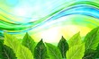 Spring background of blue sky
