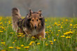 Frühling
