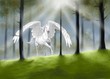 pegaso
