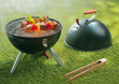 Barbecue cookout with delicious kebabs