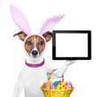 funny easter dog