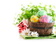 Easter eggs in the pot with green grass isolated on white