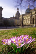 Frühlingsanfang