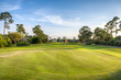 Fairway Golf