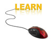 Computer mouse and word Learn
