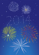 2014 Feuerwerk