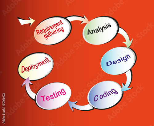 Vector: Software Development Life Cycle Software Development Life Cycle