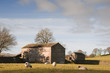 Typical stone barn and sheep in Yorkshire Dales England