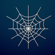Vector spider web on dark background.