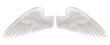 Wings illustration
