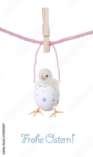 Photo: Frohe Ostern – kleines Küken im Ei Frohe Ostern – kleines Küken im Ei