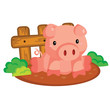 Pig