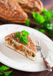 Slice of pie with chicken and vegetables , selective focus
