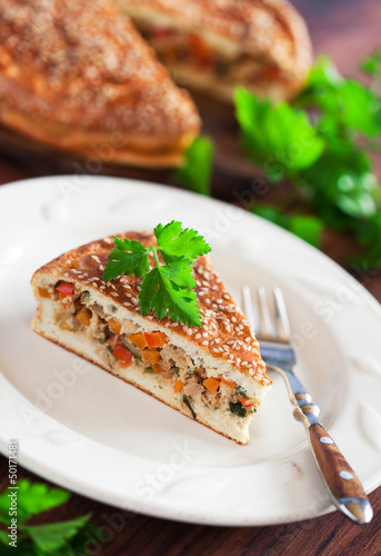 Photo: Slice of pie with chicken and vegetables , selective focus Slice of pie with chicken and vegetables , selective focus