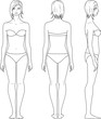 Vector illustration of woman's figure