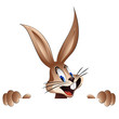 Vector: easter bunny easter bunny