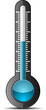Thermometer