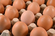 Photo: Egg tray with brown free range eggs. Egg tray with brown free range eggs.