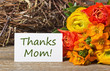 mother`s day