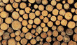 Brennholz