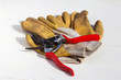 Gartenschere und Gartenhandschuhe