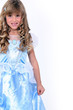 little girl in a princess dress