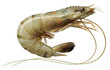 Raw shrimp