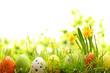 Easter Decoration