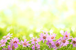 Natural background