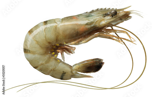 Photo: Raw shrimp Raw shrimp