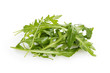 fresh rucola leaves