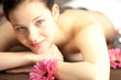 Wellness therapy