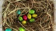 Easter eggs packed falling in the straw