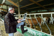 middle-aged stock breeder