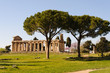 Paestum Temple of Hera