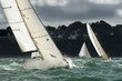 group yacht sailing at regatta