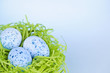 Easter eggs in nest on blue background