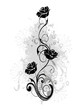 roses noires