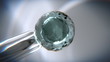 In vitro fertilization