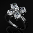 The beauty wedding ring