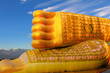 108 auspicious things on the feet of the  Buddha statue