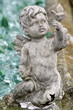 cherub angel