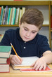 Boy Doing School Work
