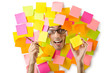 Man's face through paper and reminders