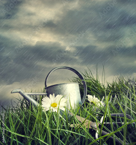 Photo: Watering can with flowers in a summer rain Watering can with flowers in a summer rain