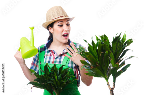 Photo: Girl watering plants on white Girl watering plants on white