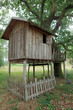 Tree house