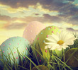 Foto: Large easter eggs in the tall grass Large easter eggs in the tall grass