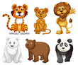 Six wild animals